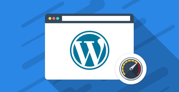 wordpress website load speed support Brisbane - Content Authority